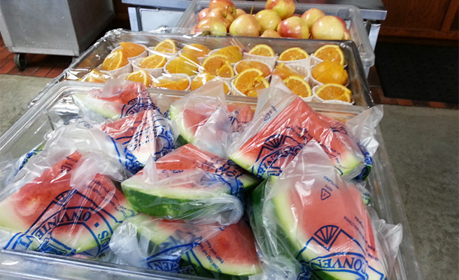My Fruitful Summer