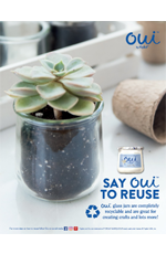 Oui glass jar succulent