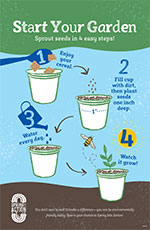 Cereal Cup Gardening Activity