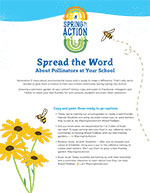 Pollinators Marketing Planning Guide