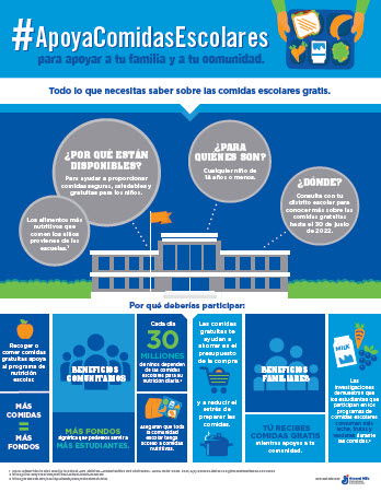 Print_Infographic_spanish_thumb